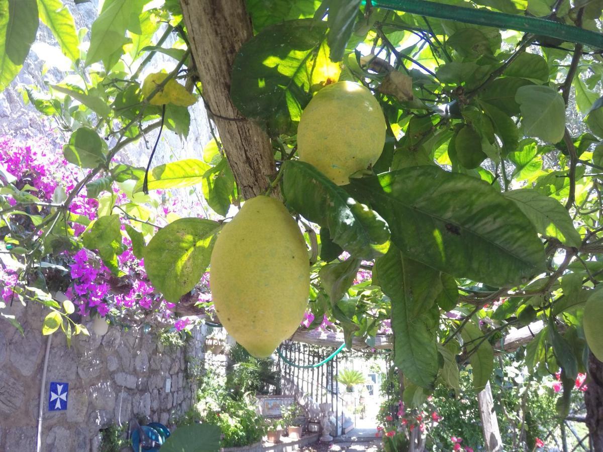 Casa Hermosa Amalfi Dış mekan fotoğraf